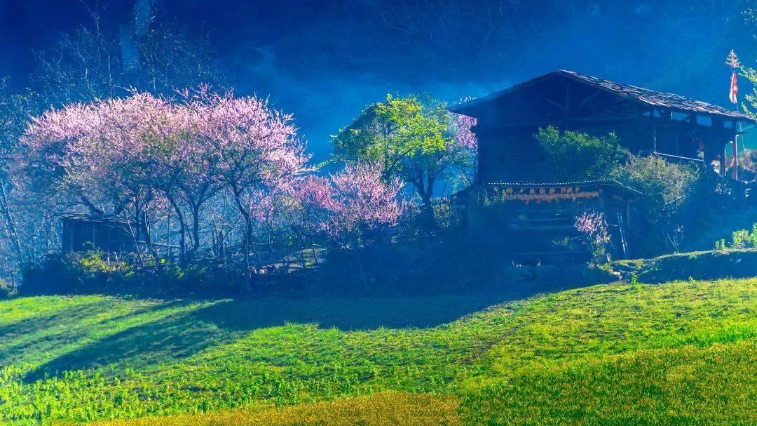 逃离野兽洞