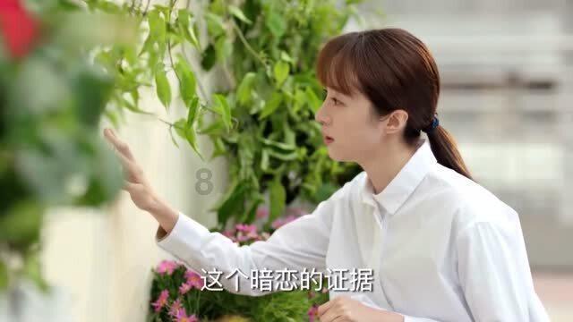 【全国人民写给哈尔滨的“情书”②】在哈尔滨遇到美好