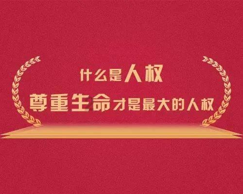 为什么现在很多年轻的朋友都喜欢结伴出行？游戏画面