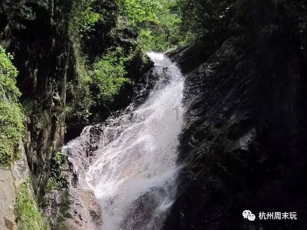 高级定制