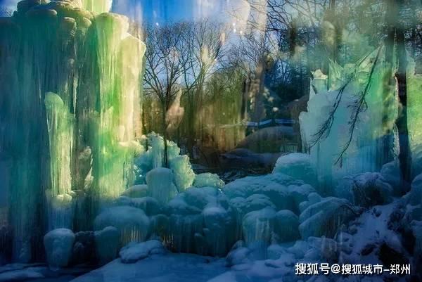 目前比较好的防脱洗发水是哪种?用了会回购的防脱洗发水